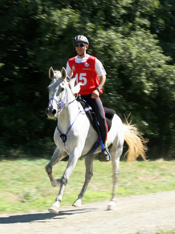 El jinete navarro Francisco Javier Ayestar&aacute;n gan&oacute; el Raid Internacional CEI* celebrado en Haras de la Ultzama